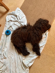 124 e83a461c-2d60-40b2-9a78-a61580edbd8a 768x1024